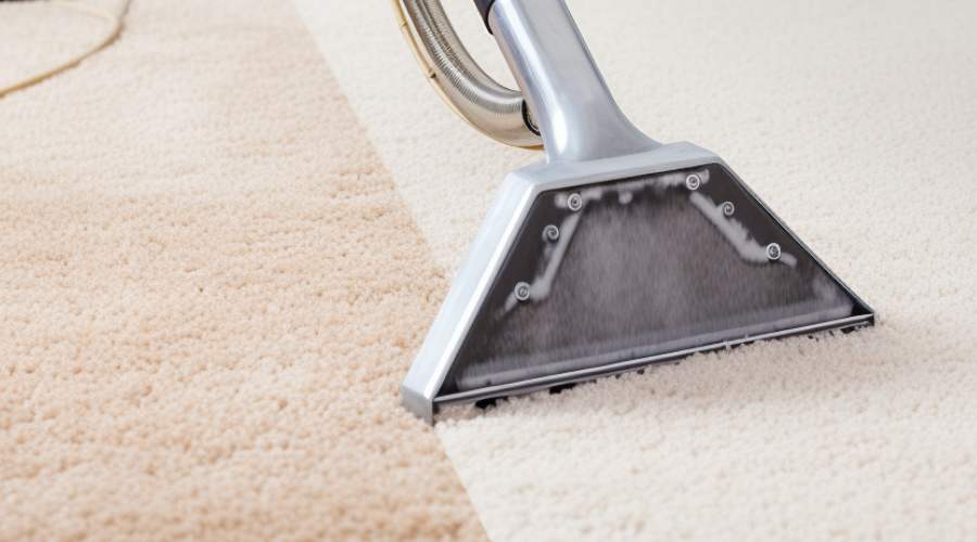 How Much Does Professional Carpet Cleaning Cost
