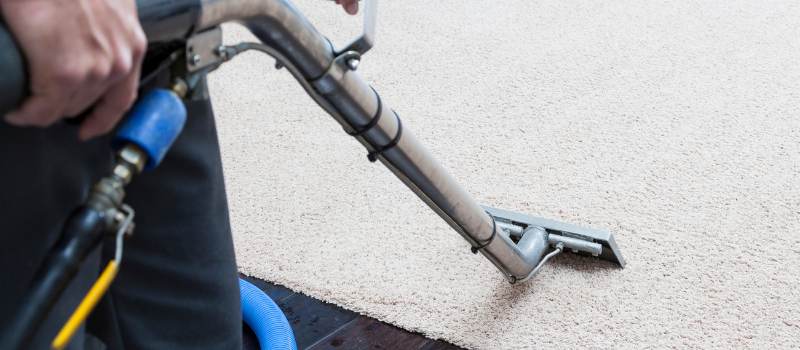 Carpet Steam Cleaning Professionals in Brisbane